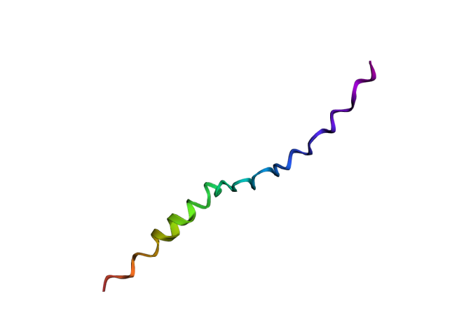 Original Peptide