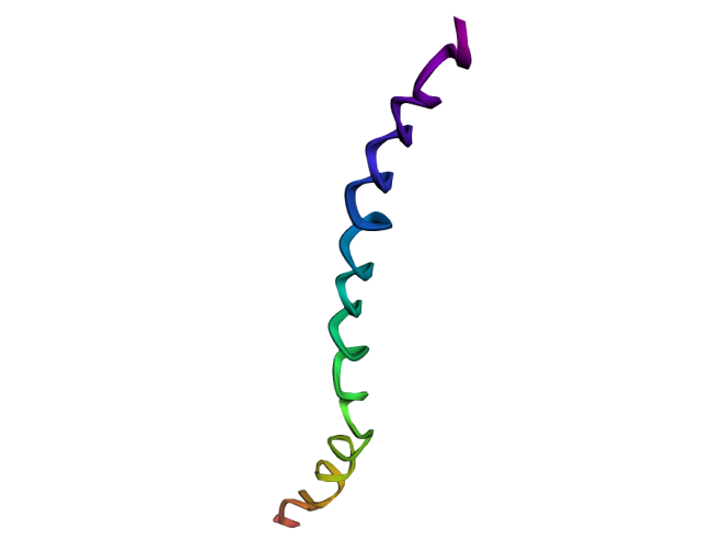 MC-NEST Updated Peptide